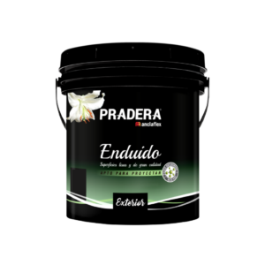 PRADERA ENDUIDO EXTERIOR X 10 LTS/18 KG